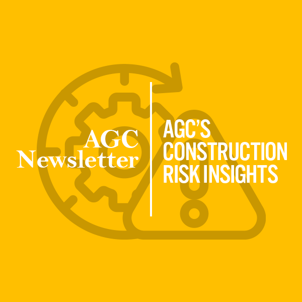 Risk Insights Newsletter Icon